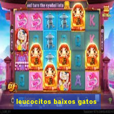 leucocitos baixos gatos